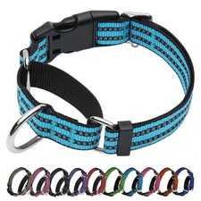 Martingale Collar for Dogs,No Pull No Choking Blue,S Blue Small