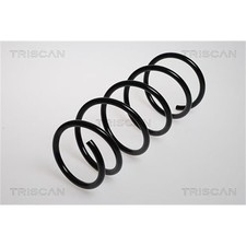 Ressort divers Nissan KUBISTAR