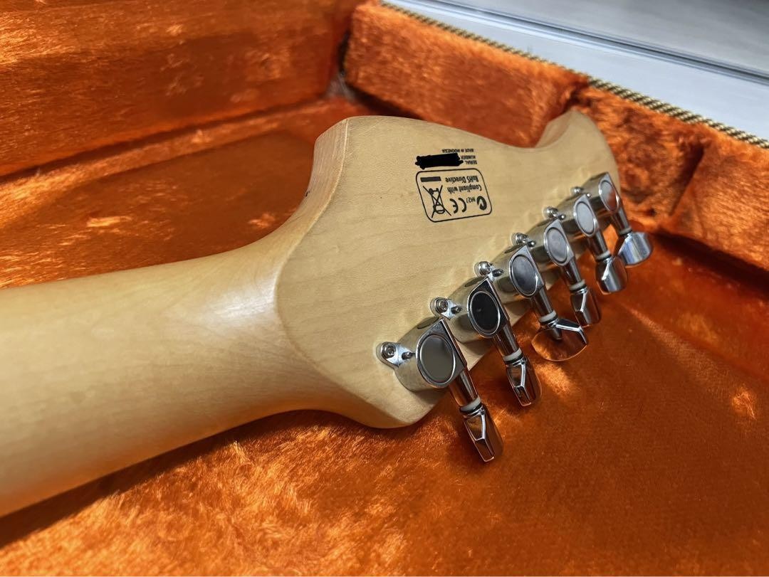 Electric Guitar Elioth Revolution S Series Modified with Soft Case