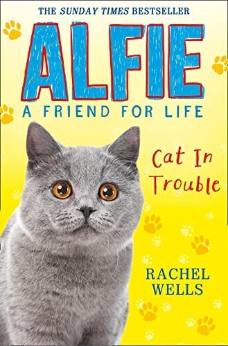 Alfie Cat in Trouble Book by Rachel Wells (Paperback) New