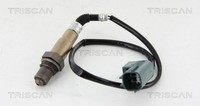 Triscan Lambdasonde Sensor Abgassteuerung 8845 14116 FüR Nissan Primera Almera 2