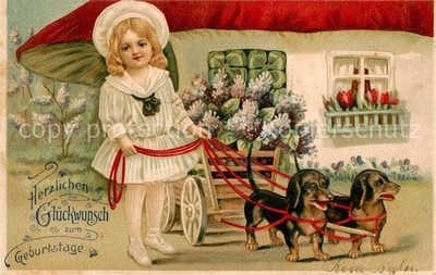 Dachshund Dachshund Teckel dogs dogs Chiens Cani birthday child 