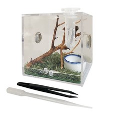 Jumping Spider Habitat Box with Dropper Tongs for Reptiles and Insects