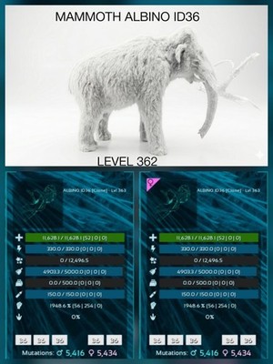 MAMMOTH TOP STATS BABY PAIR  Ark Survival Ascended Official PVE PC/XBOX/PS5