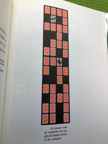 100 JEUX DE CARTES CLASSIQUES Berloquin Flamarion Paris 1975 Illustrated 1st - Picture 10 of 11