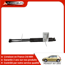 Verin de hayon / de capot Peugeot 307