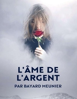 L'me de l'argent: Transformer votre relation avec l'argent et la vie by Bayard M