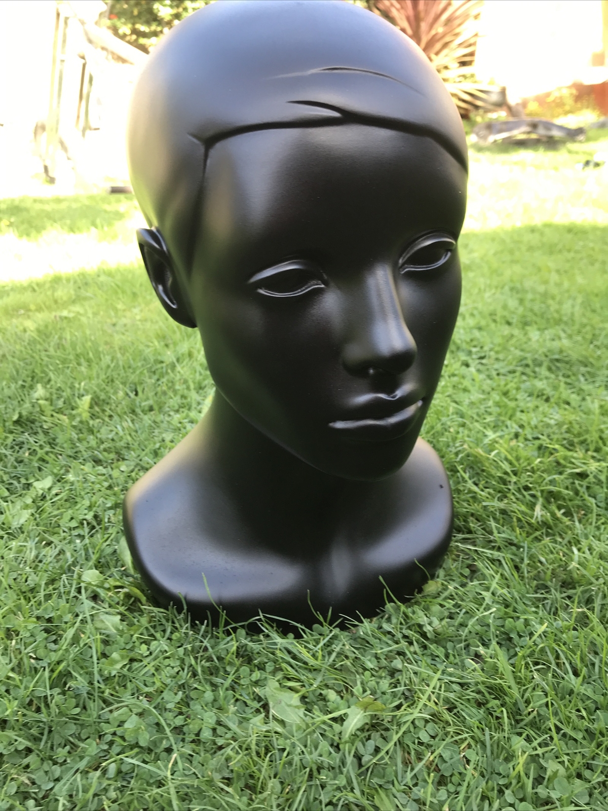Glass Mannequin Head for sale in UK View 60 bargains