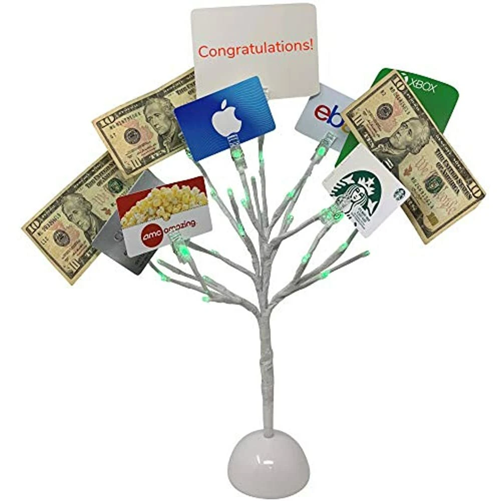 Where can i buy a money tree holder deals