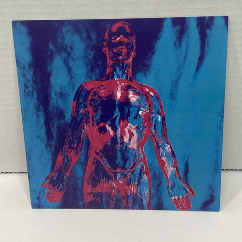 Nirvana – Sliver b/w Dive 7" Single 2010 Sub Pop – SP73 Clear/Pink Split VG+ - Picture 2 of 7