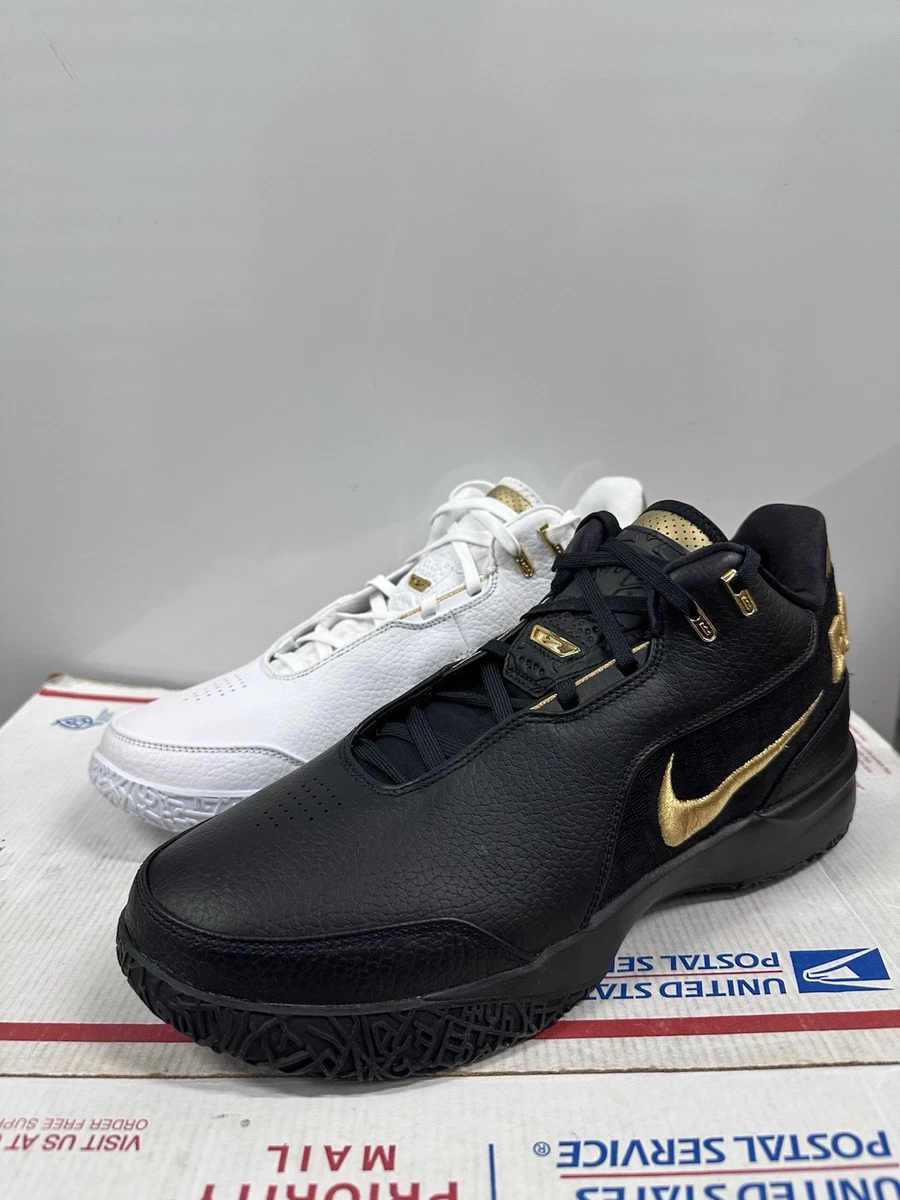 Nike Zoom LeBron NXXT Gen AMPD Equity for Sale | Authenticity