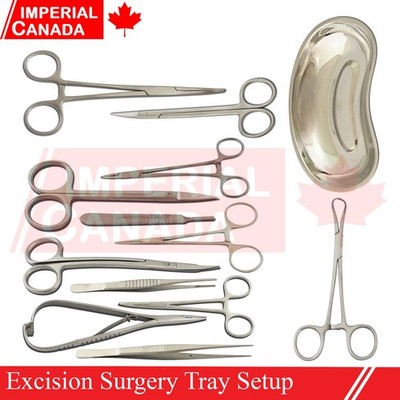Basic Surgical Dermal Excision Minor Surgery Set Kit Surgical Kidney Tra DS-2237
