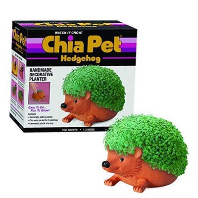  Pet Decorative Pottery Planter with Seed Pack, Decorative Pottery Hedgehog