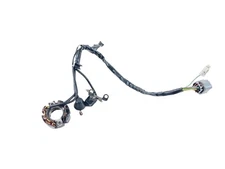 ✅2004 KX250F Stator Ignition Generator KAWASAKI SUZUKI KX250F RMZ OEM 2004-2006