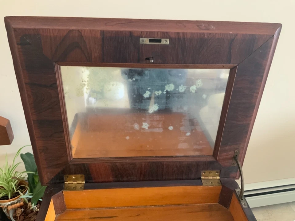 Elegante suporte de serra de jacarandá 1860 - Imagem 4 de 4