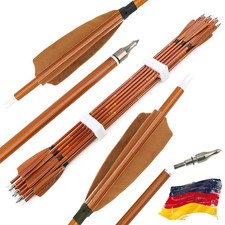 12X Carbonpfeile 30Zoll Bogenpfeile Jagd Spine 500 Recurvebogen Compoundbogen DE