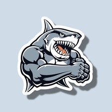 Muscular Muscle Shark Workout Gym Fierce Strong Athletic 3 Vinyl Sticker Muscular Muscle Shark Workout Gym Fierce Strong Athletic 3 Vinyl Sticker