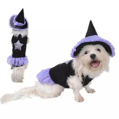 NEW Piece Wizard Dress Dog Costume Size L