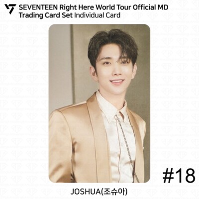 SEVENTEEN Right Here World Tour Official MD Trading Card Set