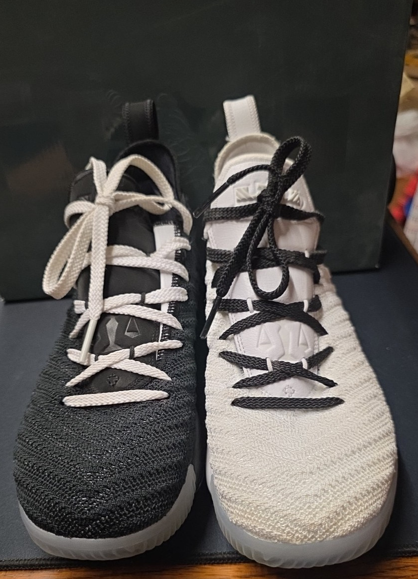 NIKE LEBRON XVI (GS) EQUALITY US SZ 6.5Y WHITE /BLACK AQ2465 100 thumbnail 3