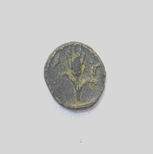 Thrace, Lysimacheia,  AE 11,  309-220 BC, Athena / Grain Ear, VF