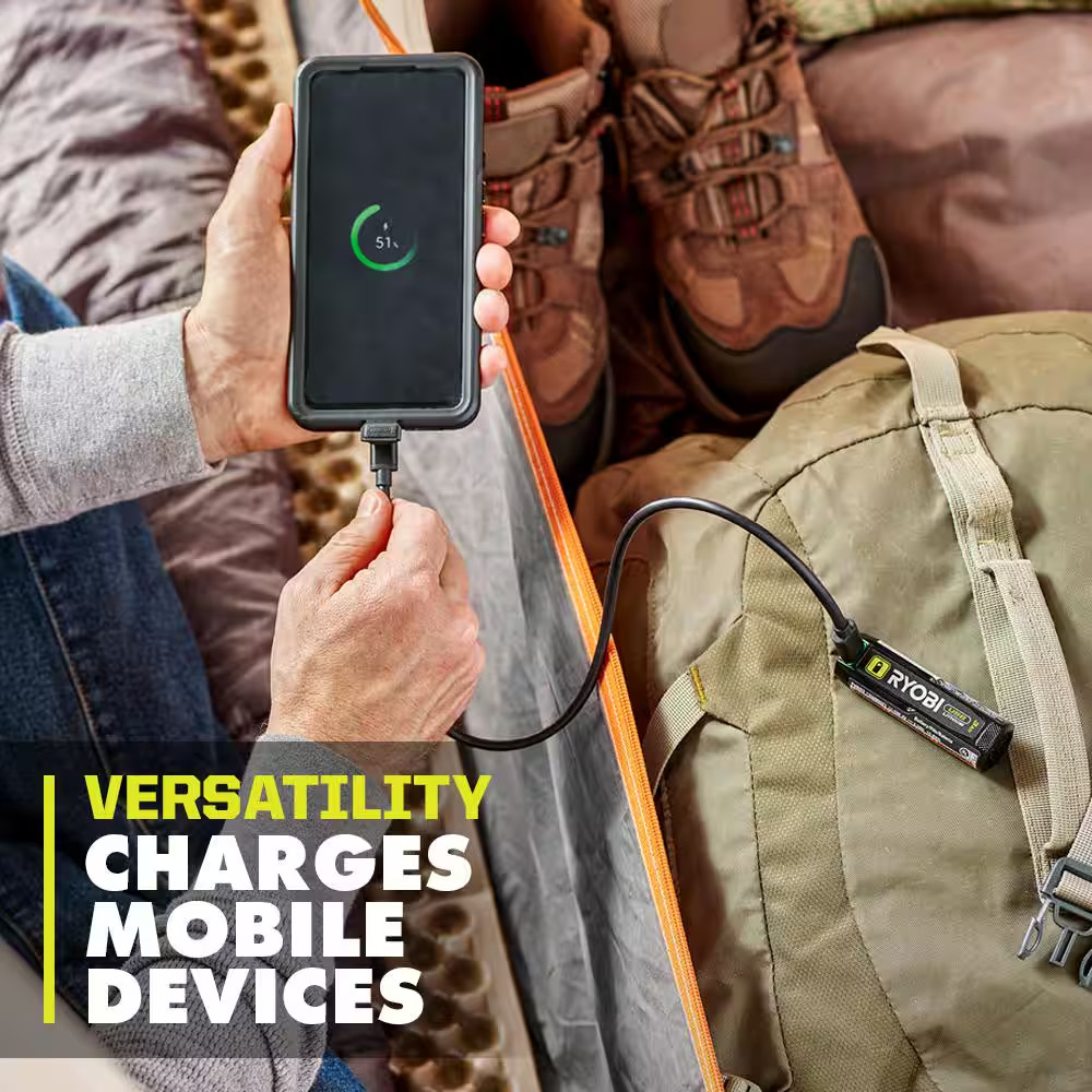 USB Lithium 3.0 Ah Lithium-Ion Rechargeable Battery (2-Pack)