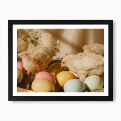 Ostern Küken 3 Kunstdruck gerahmt Wandbild Poster Leinwanddruck Bild