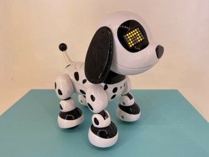 2014 spin master dog