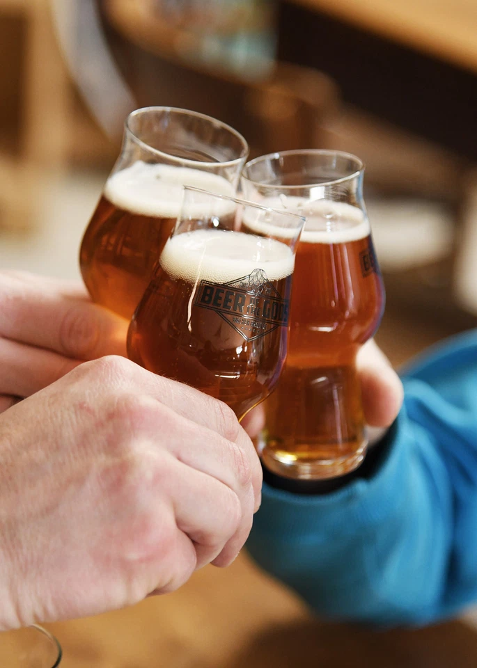 WACKEN BRAUEREI Craft Beer Box 16x 0,33l + Bierglas Wikinger Bier Geschenk - Bild 4 von 4