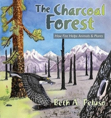 Beth A Peluso The Charcoal Forest (Paperback)