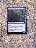 Mtg Tattered Haunter Eldritch Moon #77 Regular Common NM