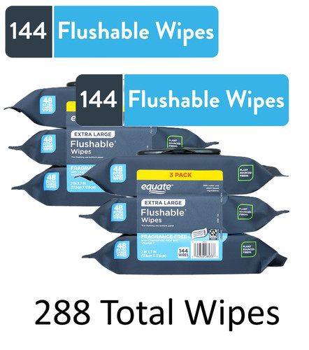 Equate Extra Large Flushable Wet Wipes, Fragrance Free, 288 Wipes(48 each x6 Pk)