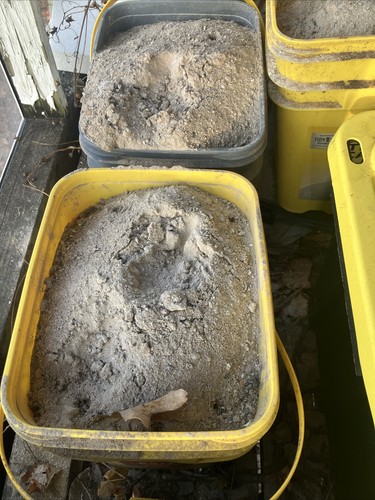 5 lbs. Pure  Wood Ash NO TRASH