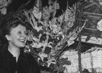French singer Edith Piaf admiring many flowers recieved friends- 1957 Old Photo