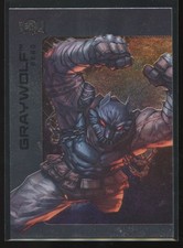 2025 DC Skybox Metal Universe Graywolf #46
