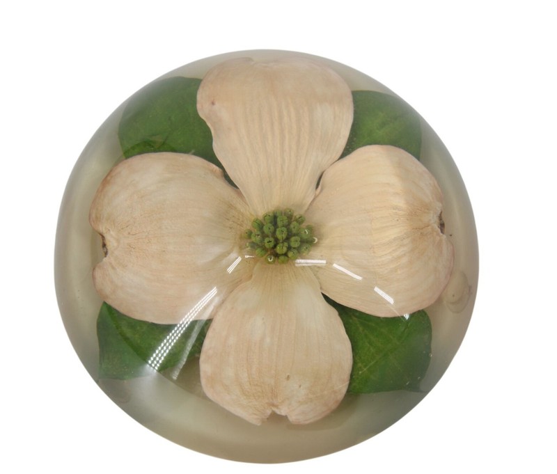 Dogwood Blossom Paperweight Vintage Lucite 94615