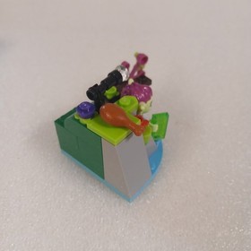 LEGO Elves 41181 Naida's Gondola and the Thieving Goblin - Complete 100% EOL 2017