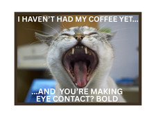 Funny Cat Coffee Refrigerator Magnet