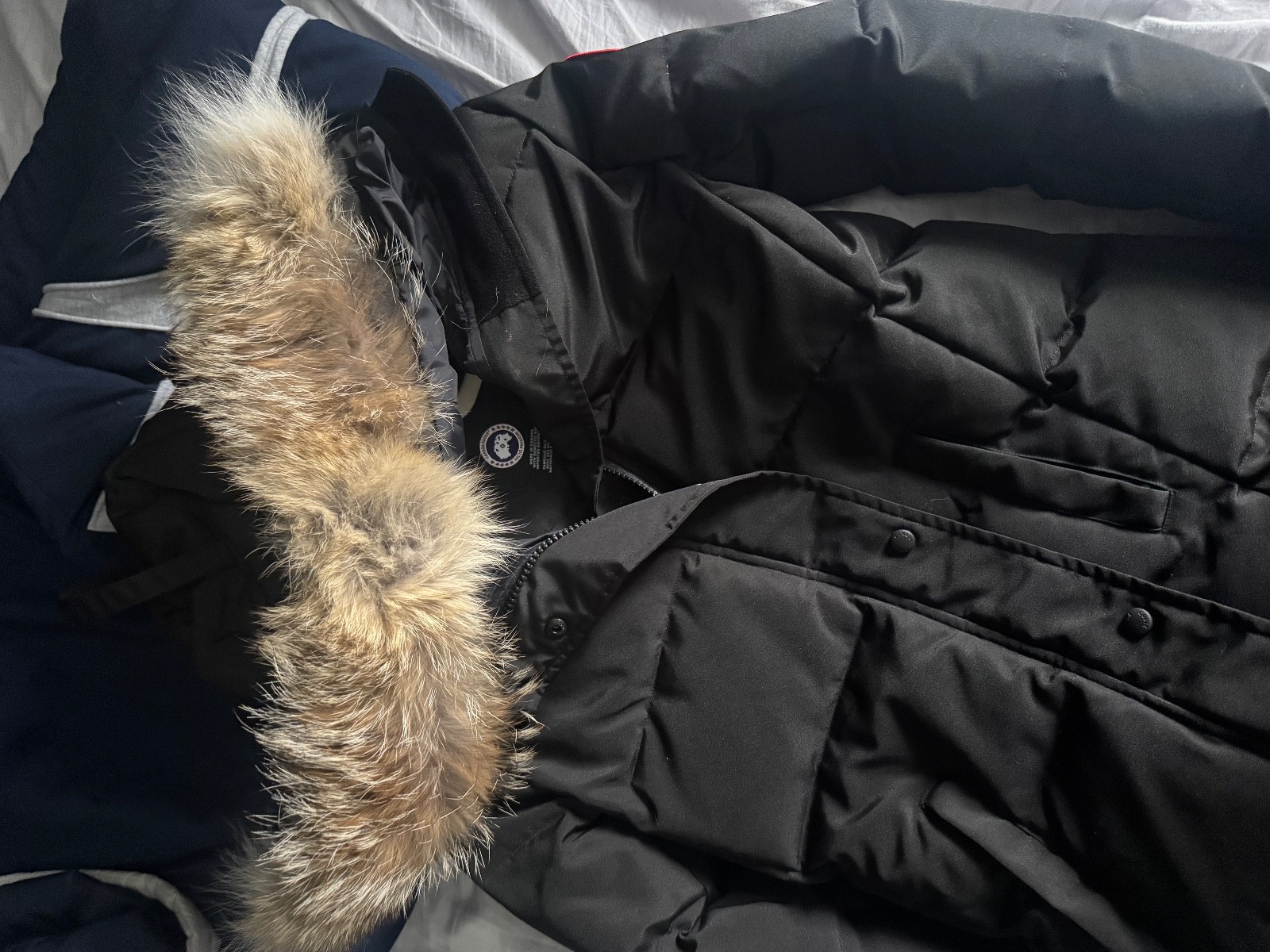 jacket-image
