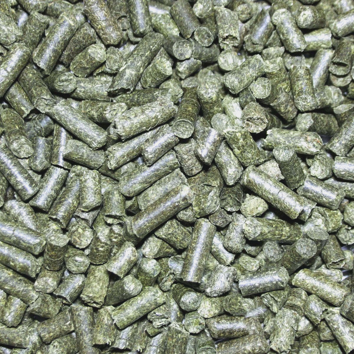 10L PETTEX HERBIVORE SUBSTRATE : Reptile Pellets Tortoise Iguanas Pet Terrain