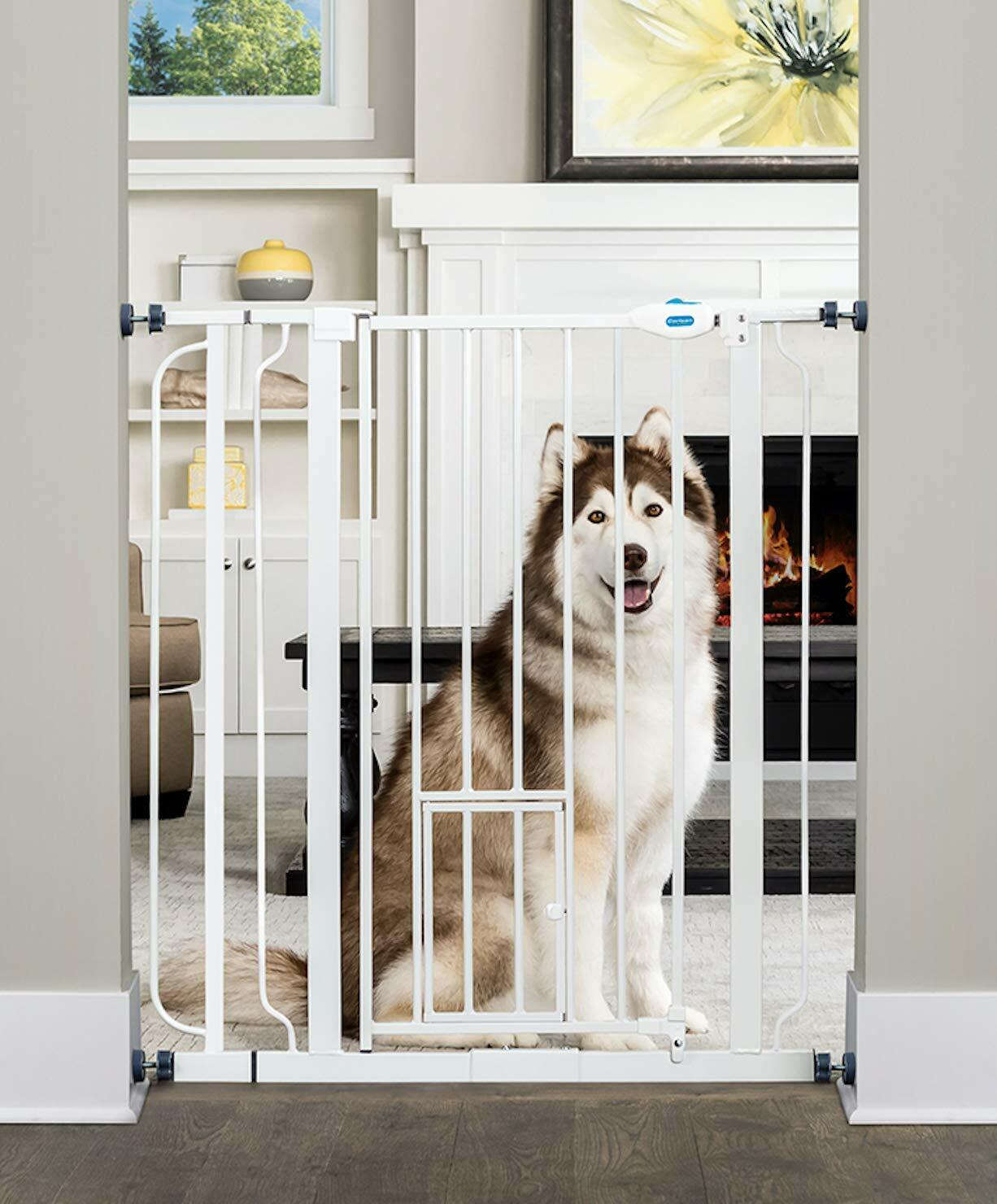 rover pet gate