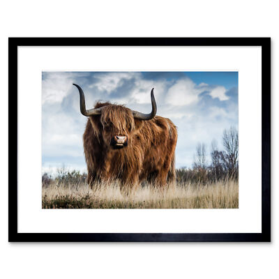 Gerahmter Wandkunstdruck Scottish Highland Cow/Coo 12 x 16 Zoll