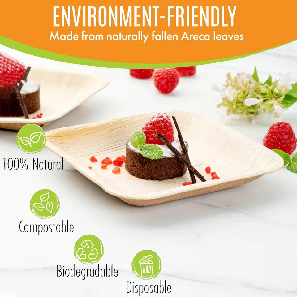 Raj Palm Leaf Plates [100-Pack] 6" Square Plates like Bamboo plates Disposabl... - Image 2 of 4