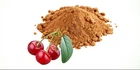 125g Organic Acerola Powder