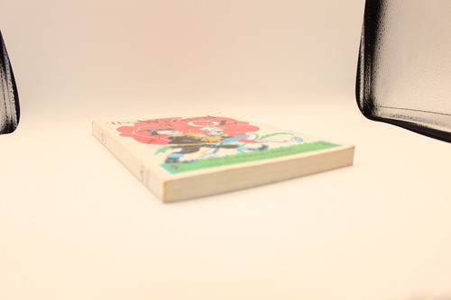 THE WIZARD OF OZ by L Frank Baum & John R Neill Rand McNally Soft Cover - Imagen 11 de 12
