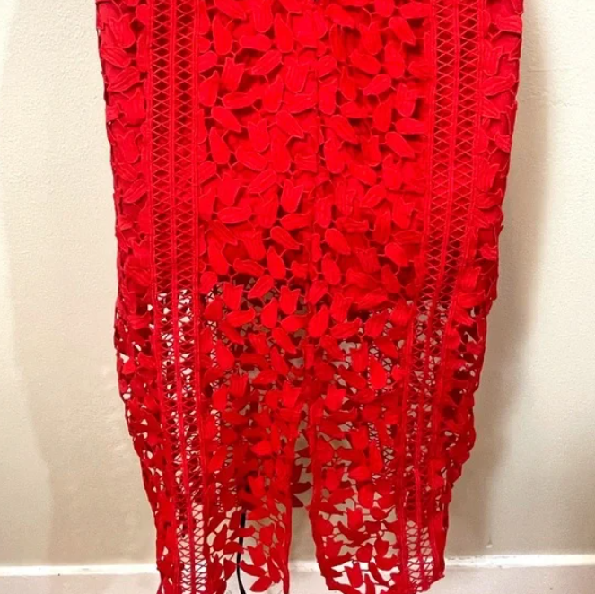 Bardot Roxy Lace Dress in color lipstick size 6/small | eBay