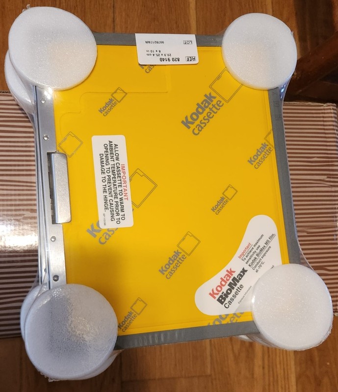 3 Kodak Biomax 8"x10" (20.3cm x 25.5cm) C-2 without screen