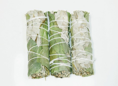 #ad Sage Smudge Sticks 4quot; Eucalyptus Bulk Wholesale Energy Cleansing $8.99
