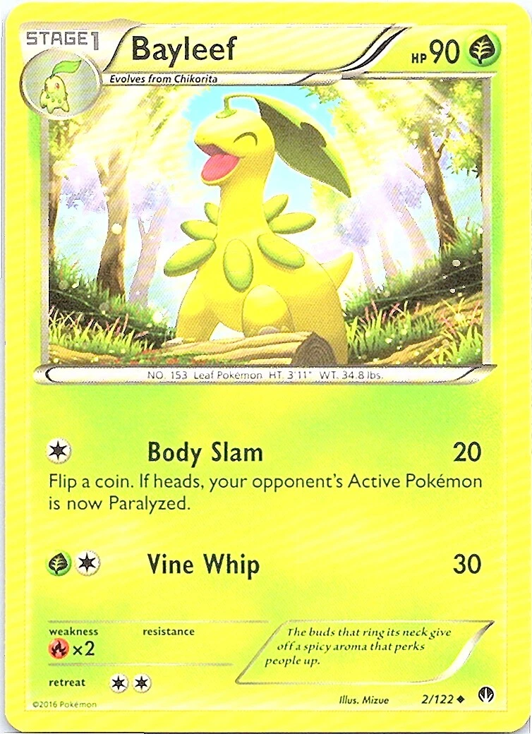 Bayleef Evolution Chart