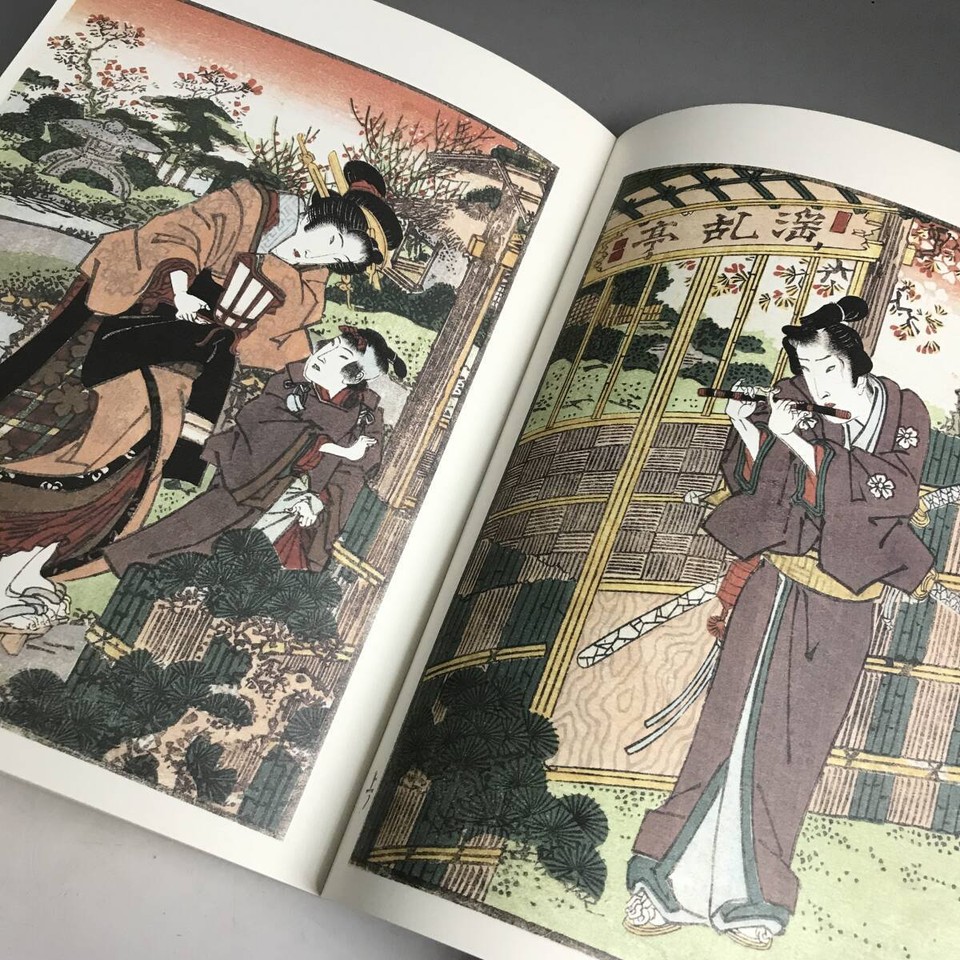 USED Books ya17 Ut27/75 Deluxe Limited Edition Eisen Pillow Ezoshi 1994